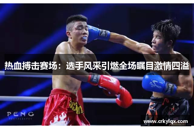 热血搏击赛场：选手风采引燃全场瞩目激情四溢