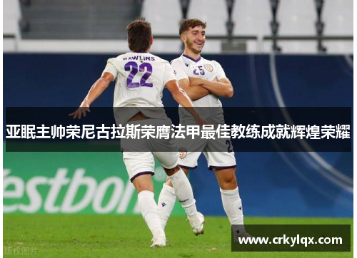 亚眠主帅荣尼古拉斯荣膺法甲最佳教练成就辉煌荣耀