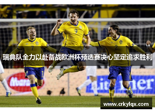 瑞典队全力以赴备战欧洲杯预选赛决心坚定追求胜利