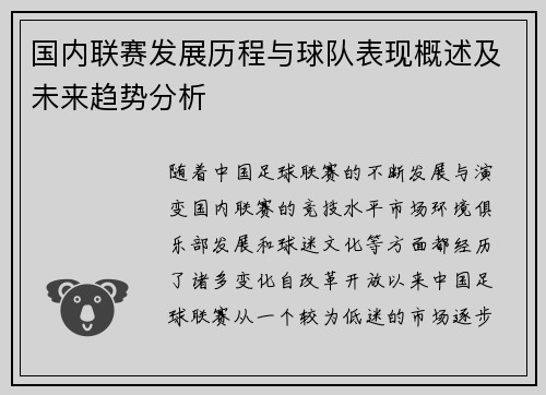 国内联赛发展历程与球队表现概述及未来趋势分析