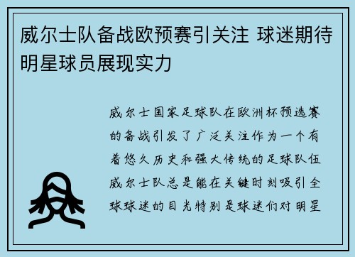 威尔士队备战欧预赛引关注 球迷期待明星球员展现实力